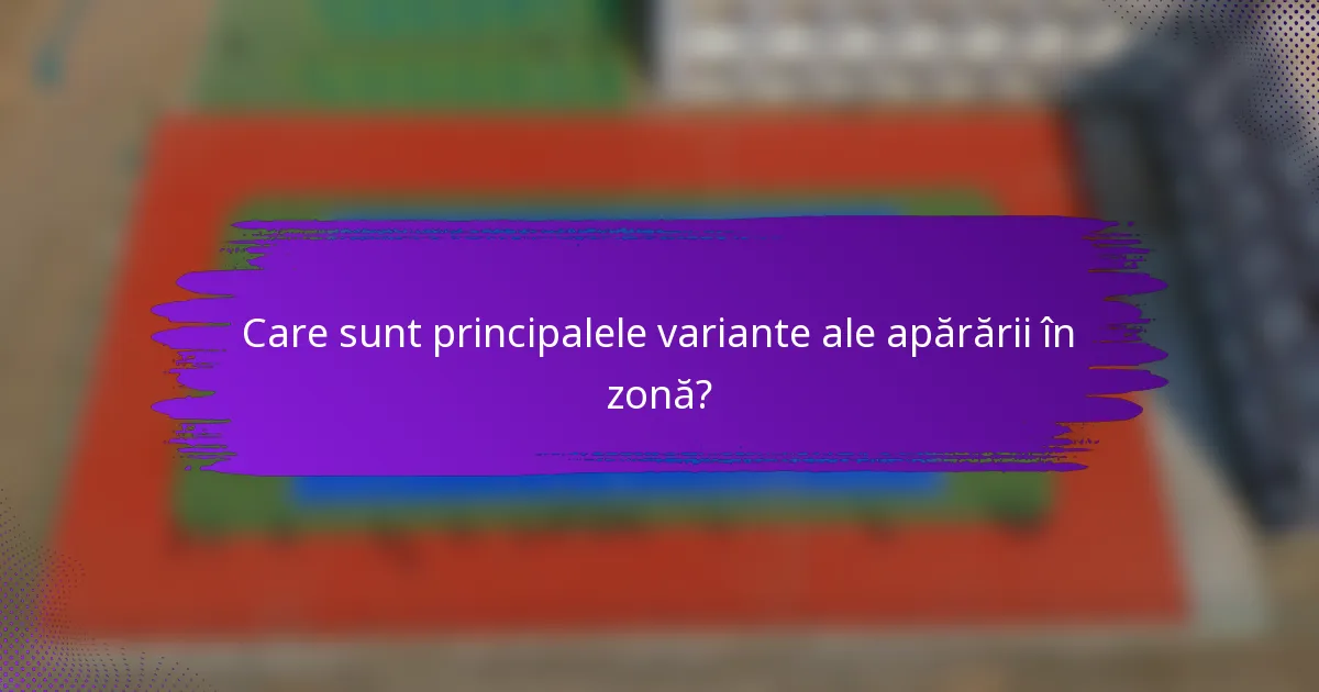 Care sunt principalele variante ale apărării în zonă?